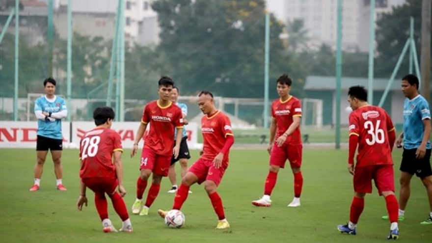 Friendly match against Dortmund important for Vietnam, says Park