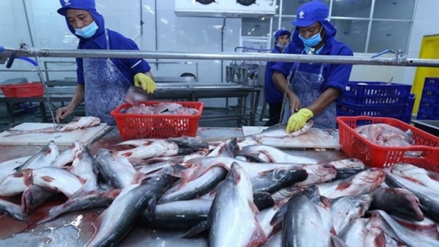 China expected to remain largest importer of Vietnamese pangasius in 2022