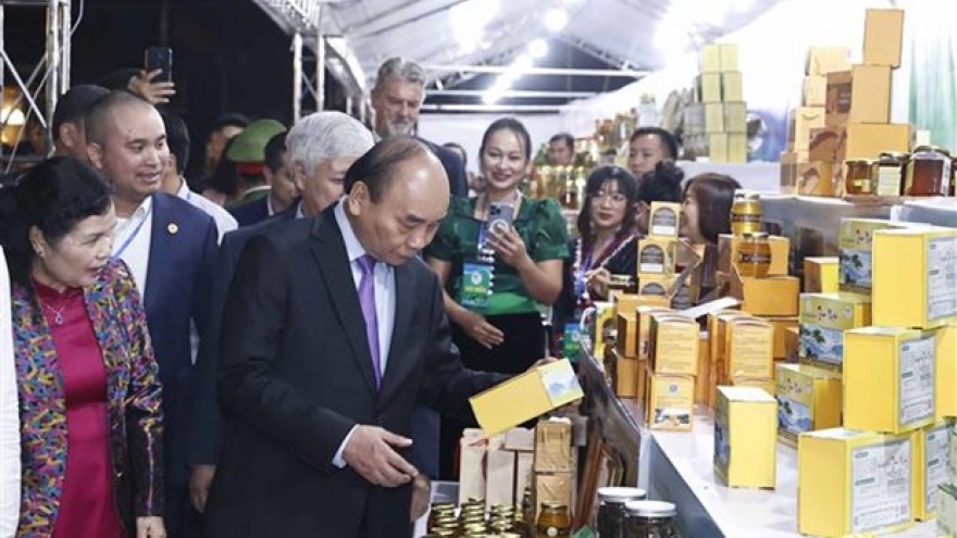 Great potential for Vietnam to develop billions-USD ginseng industry: President