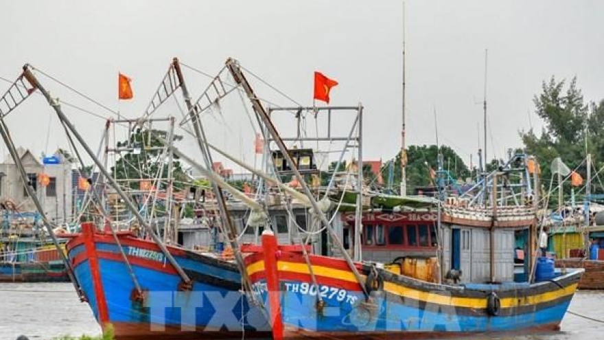 Thanh Hoa vessels possible of violating rules against IUU fishing announced