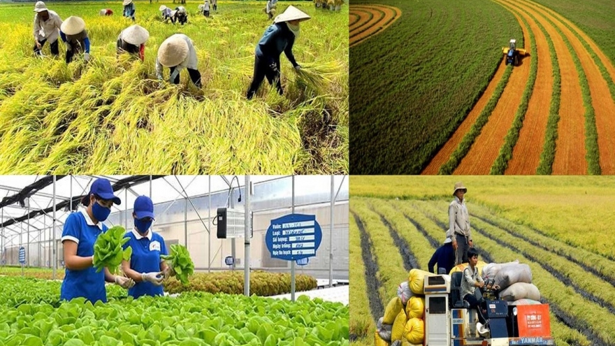 Agriculture eyes US$54 billion export target next year