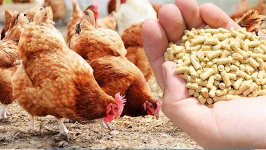 Vietnam rakes in US$361 million from exporting poultry products