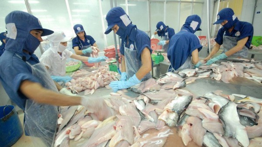 Strong growth recorded in tra fish exports to ASEAN markets