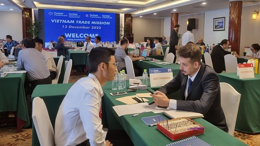 Vietnam strives to attract Turkish businesses