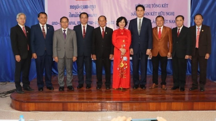 Vietnam-Laos friendship year experiences myriad activities across fields