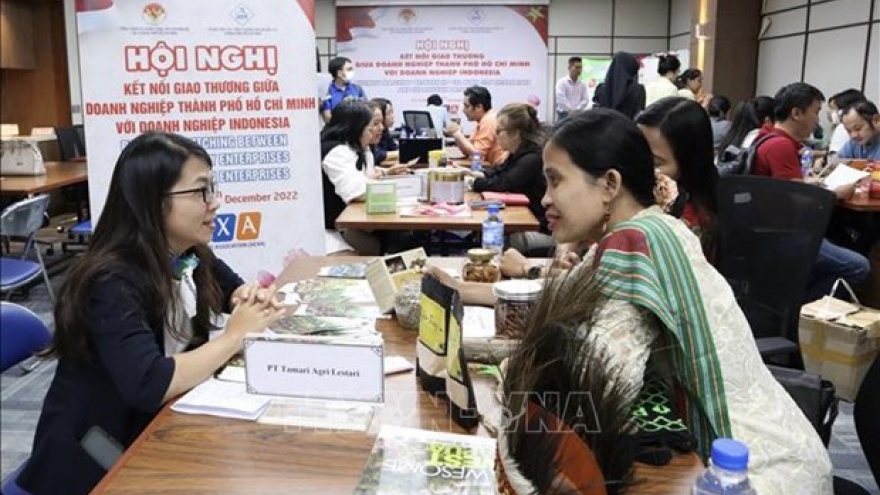 Vietnam, Indonesia have potential to boost economic partnership: Experts
