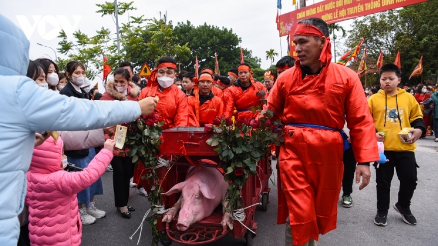 Discovering pig slaughtering festival in Vietnam