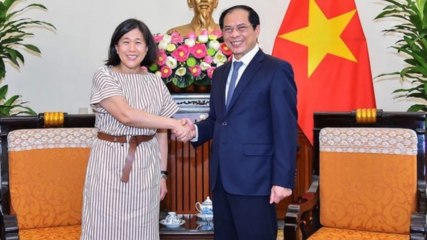 FM Bui Thanh Son hosts US Trade Representative