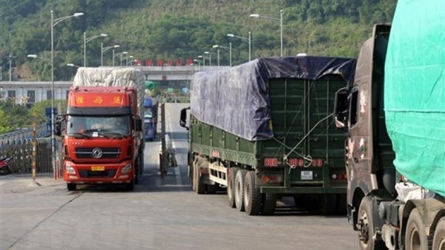 Vietnam-Yunnan trade ties below potential: Official