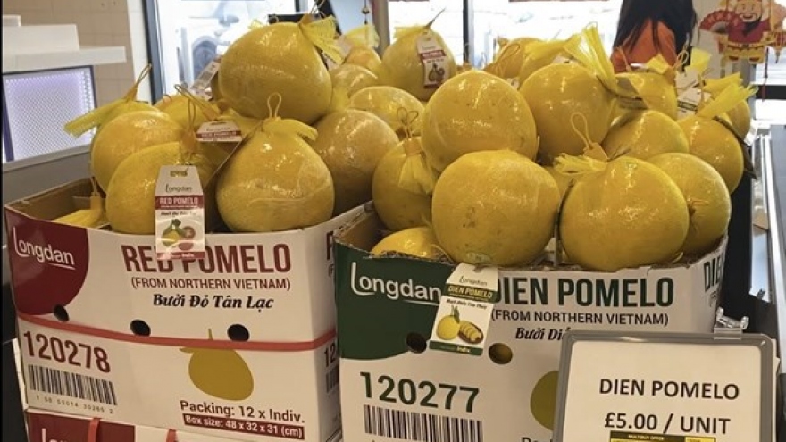 First batch of ‘Dien’ pomelos exported to UK