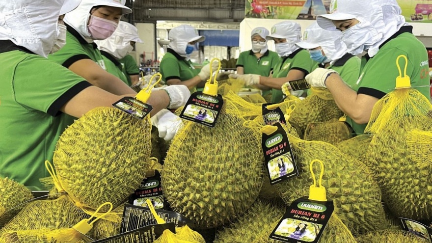 Positive outlook ahead for fruit exports in to Chinese market