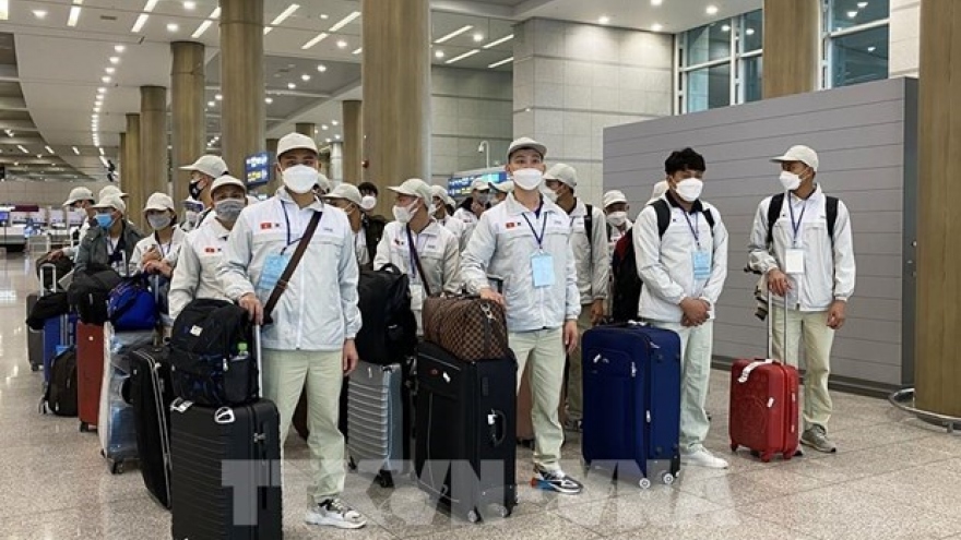 Vietnam expects to send 10,000 guest workers to RoK this year
