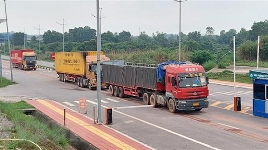 Mong Cai int’l border gate facilitates Vietnam’s exports to China