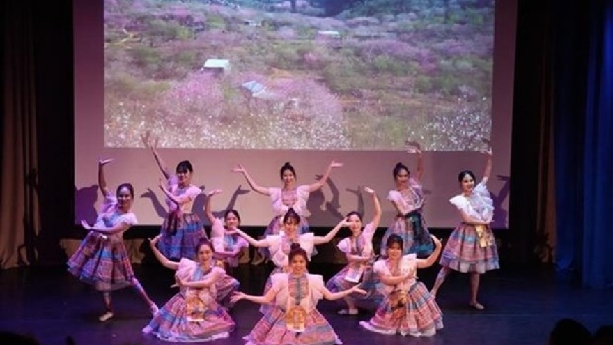 Students help introduce Vietnamese culture in Russia