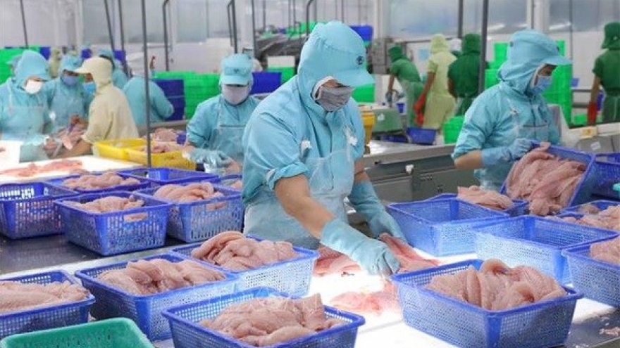 Pangasius exports predicted to recover from third quarter