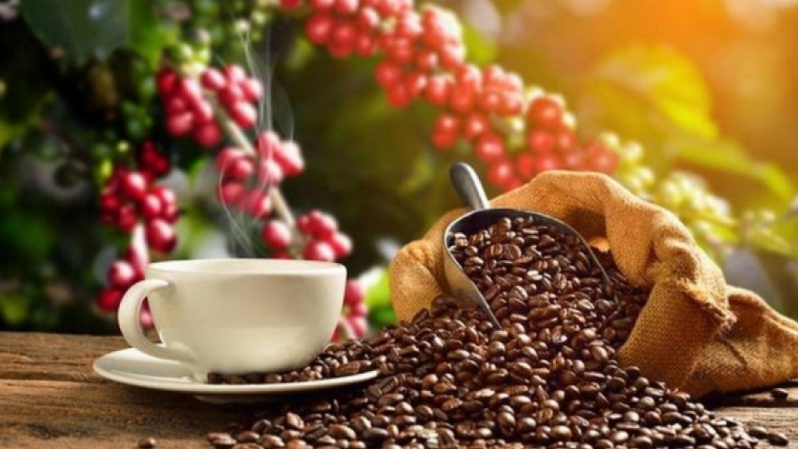 Coffee exports to Netherlands enjoy three-digit growth