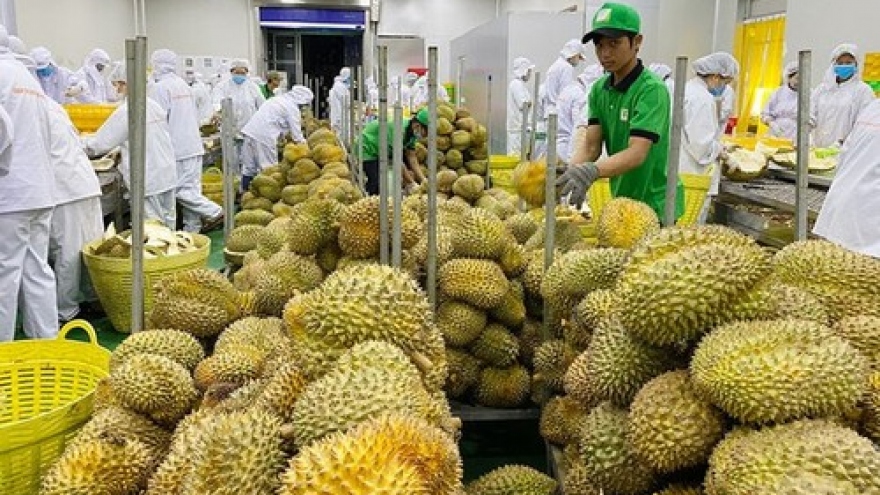 Lang Son facilitates export of fruits from Thailand to China