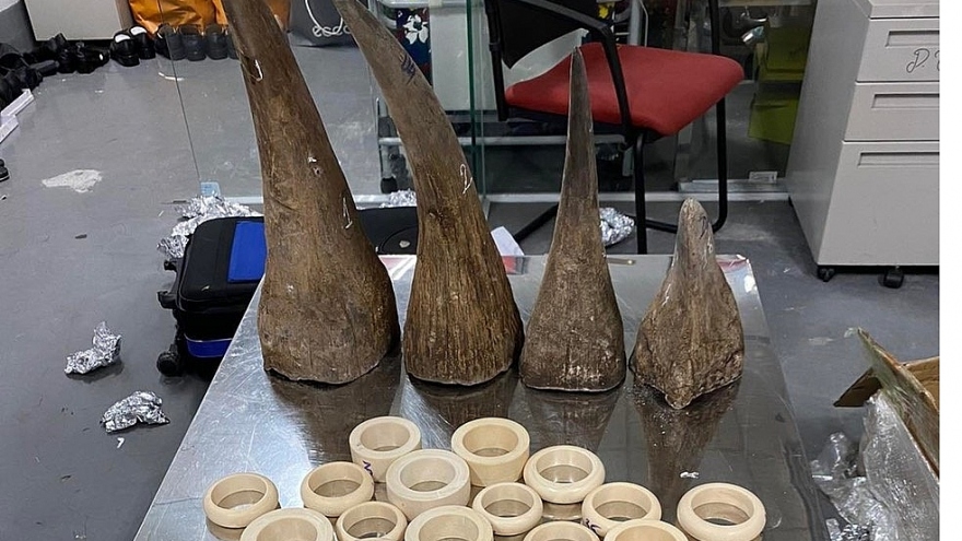 Haul of rhino horns and elephant tusks seized at Vietnam airport