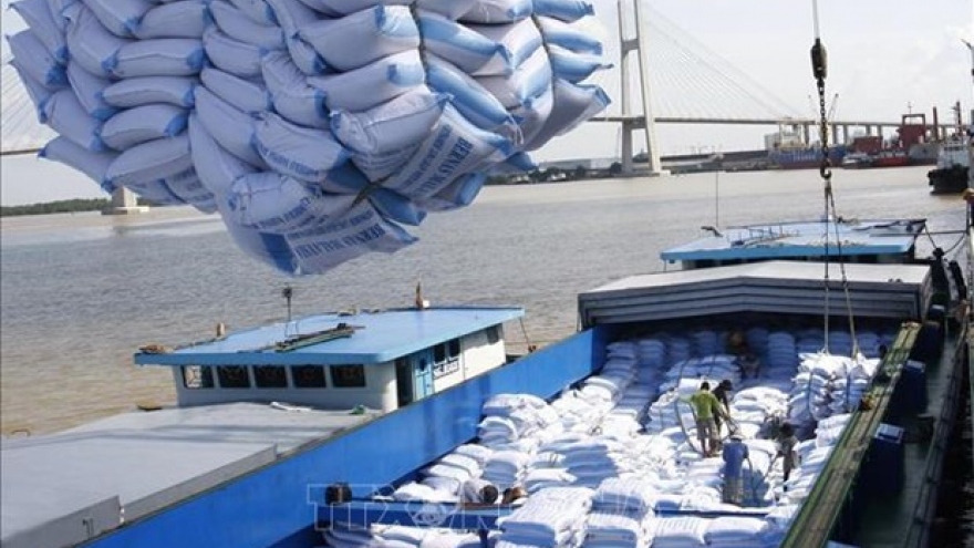 Philippines - biggest importer of Vietnamese rice in Q1