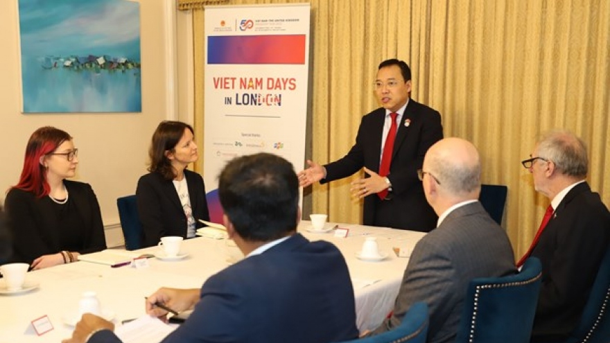 British NGOs propose ideas for Vietnam’s socio-economic development