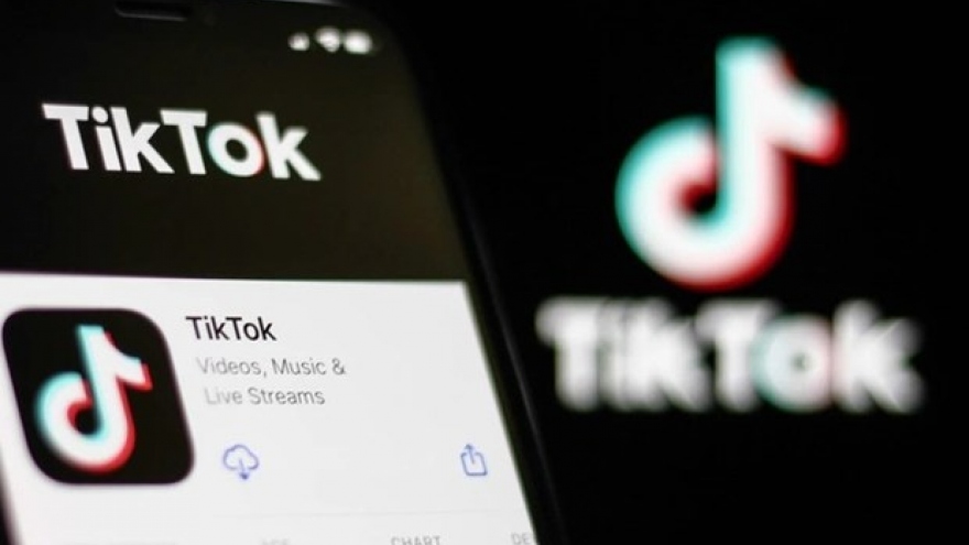 Ministries, agencies to conduct comprehensive inspections of TikTok's operations