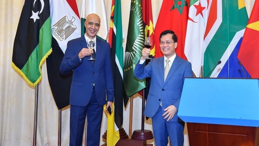 Vietnam greatly values traditional ties with African nations