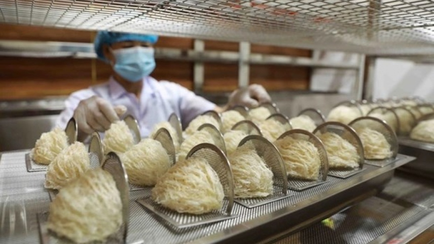 Vietnamese bird’s nests see opportunities to enter Chinese market