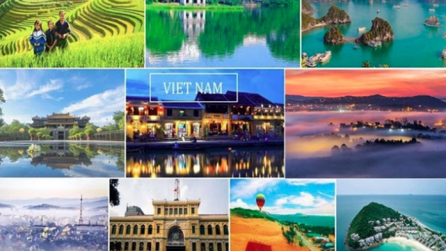 Searches for Vietnamese tourism rise globally