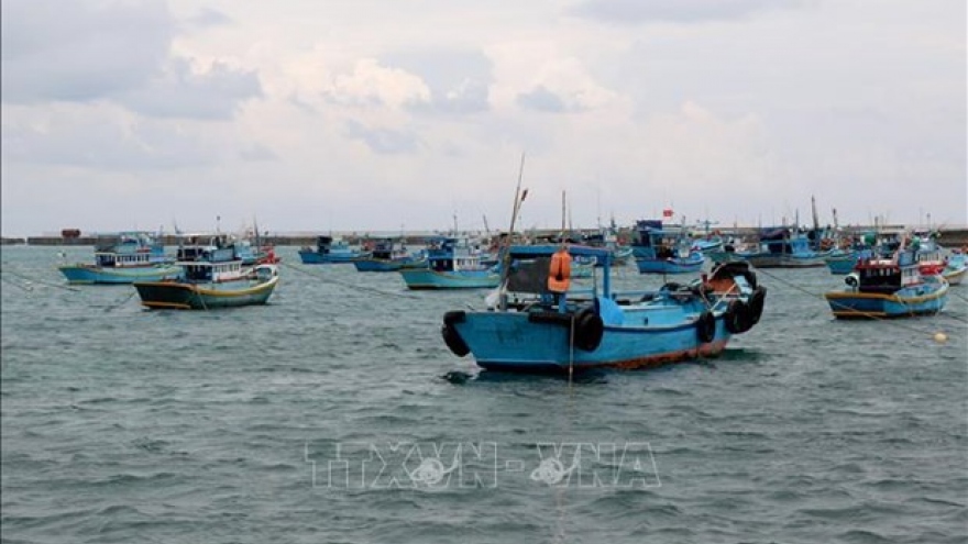 Binh Thuan province promotes awareness to fight illegal fishing