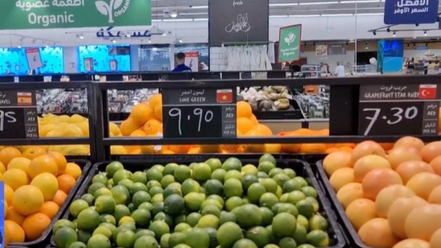 Vietnamese seedless lime dominates Gulf market
