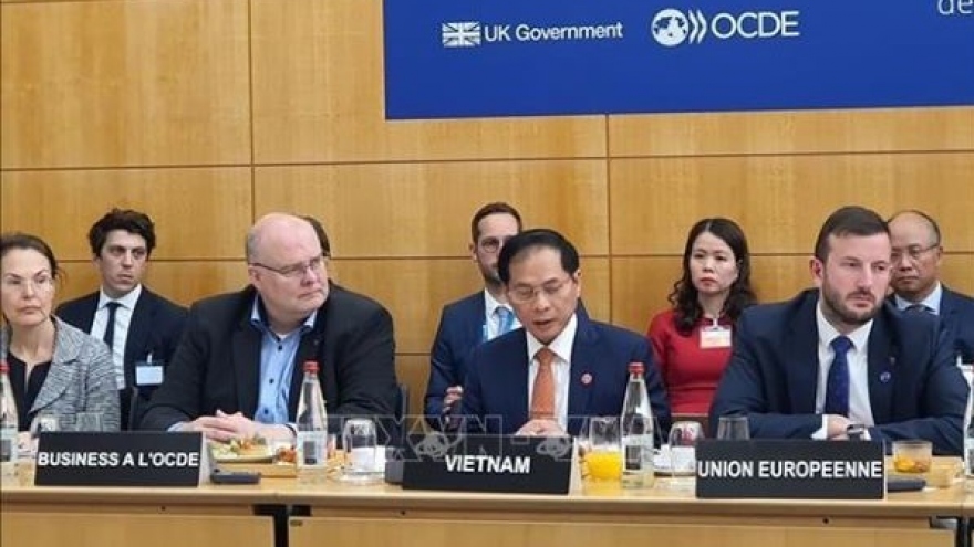 Foreign Minister highlights Vietnam’s determination for green transition