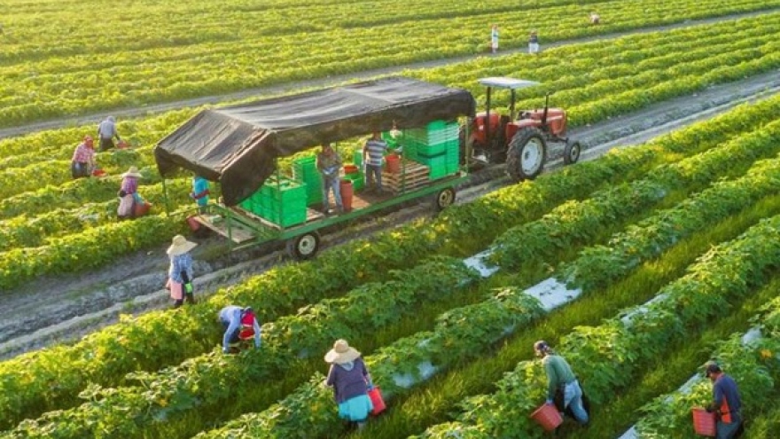 Green, circular agricultural production boosts exports