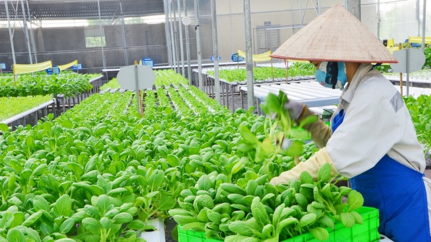 Businesses’ investment plays vital role in sustainable agriculture development