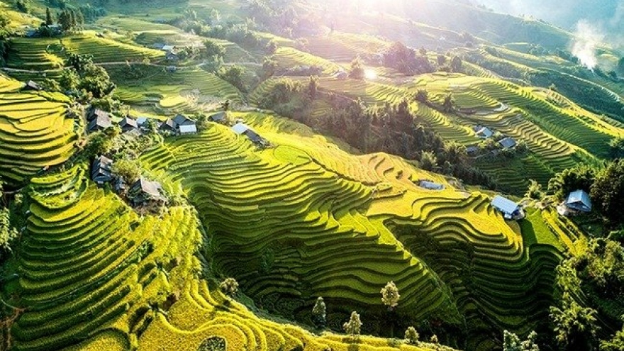 Indian Times declares terraced rice fields of Sa Pa prime reason to visit Vietnam