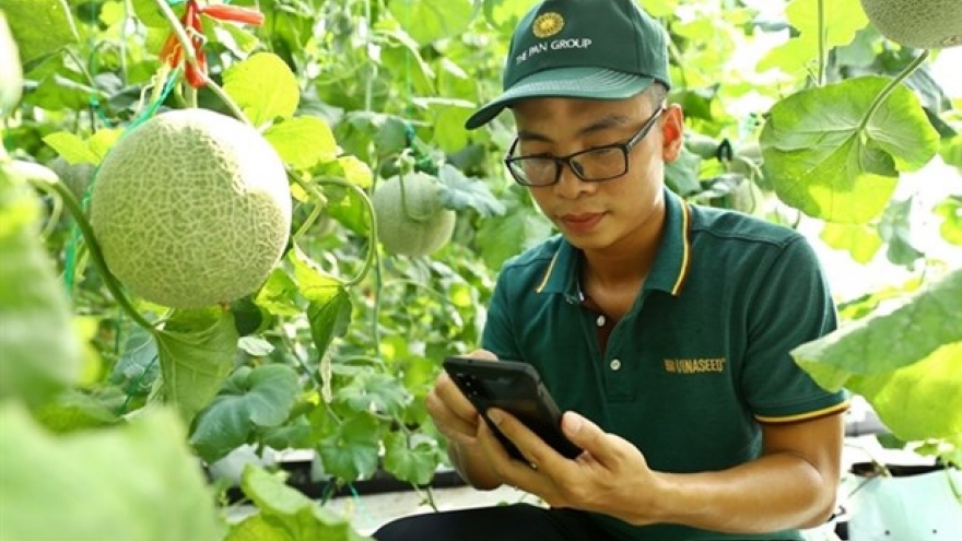 Vietnam must train people in agriculture to improve productivity