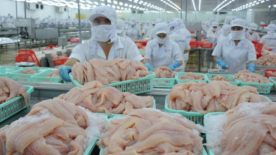 Pangasius exports to Germany witness double-digit growth