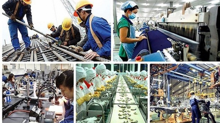 Developing high quality human resources for sustainable labour market recovery