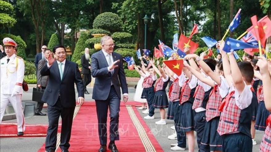 Australian expert hails Vietnam's bamboo diplomacy