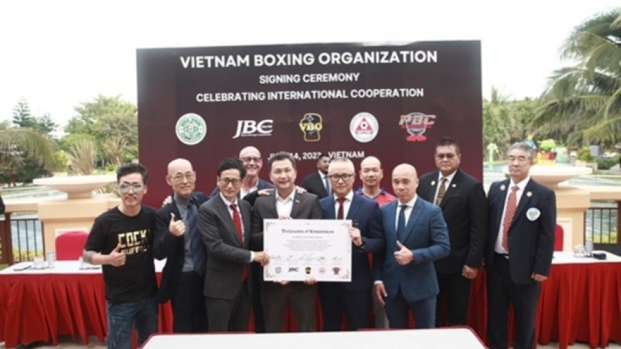 Vietnam Boxing Organisation established to push boxing