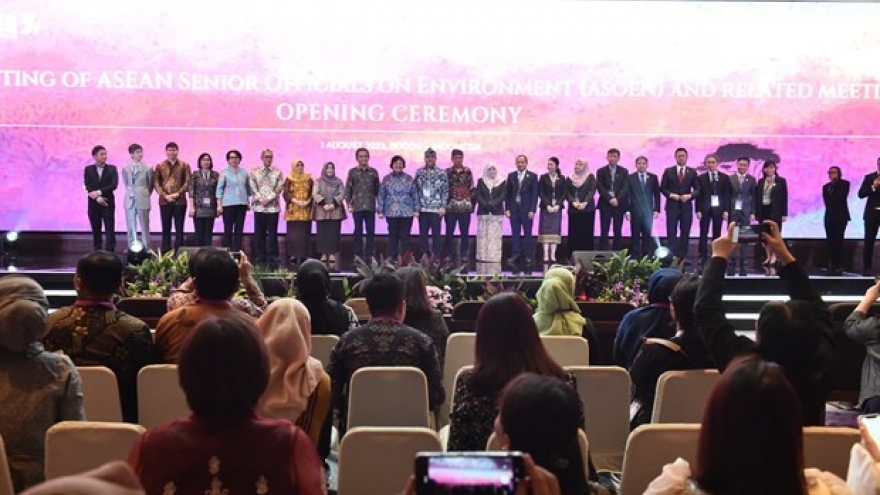 Vietnam represented at ASEAN meetings on environment in Indonesia