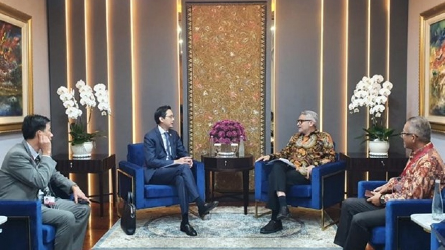Vietnamese, Indonesian foreign ministries bolster cooperation