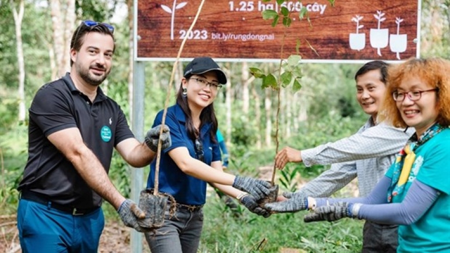 Airbus partners with French Chamber of Commerce, local NGO for forest project