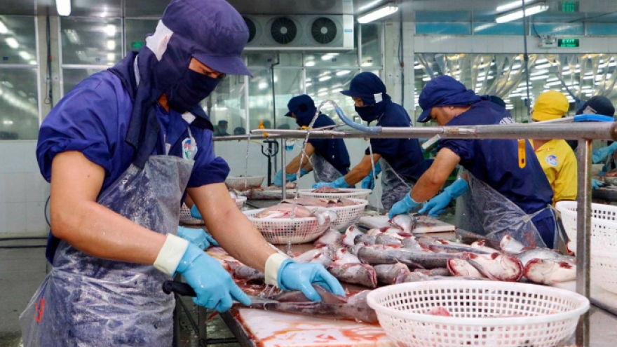 Tra fish exports likely to hit US$1.77 billion this year