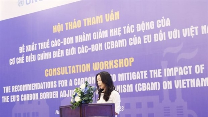 Workshop on carbon tax to mitigate CBAM for exported goods held
