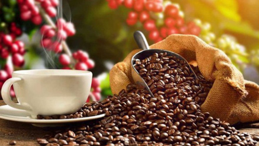 Average Vietnamese coffee export price sets record high in July