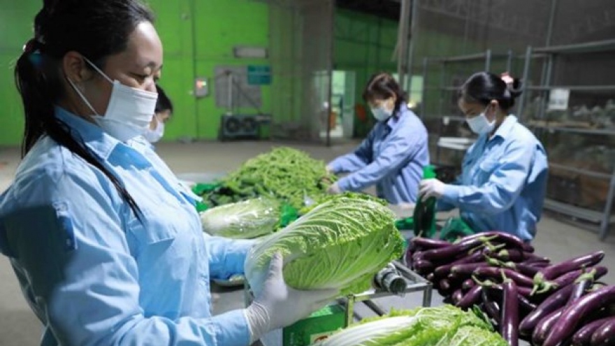 Hanoi promotes agricultural product exports