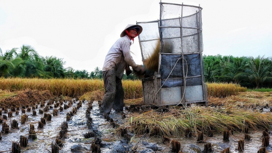 Ho Chi Minh City sends farmers abroad for professional training