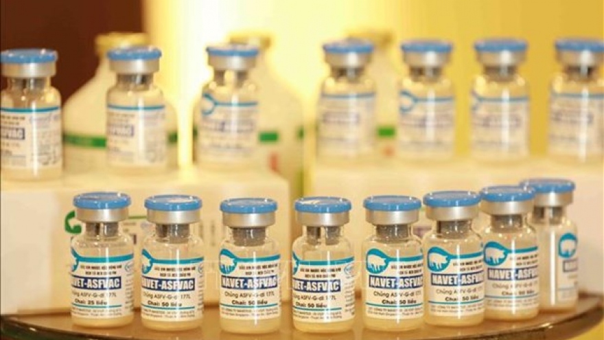 Made-in-Vietnam ASF vaccines to be exported to Philippines, Indonesia