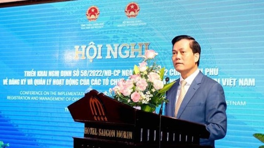 Vietnam provides best possible conditions for foreign NGOs: official