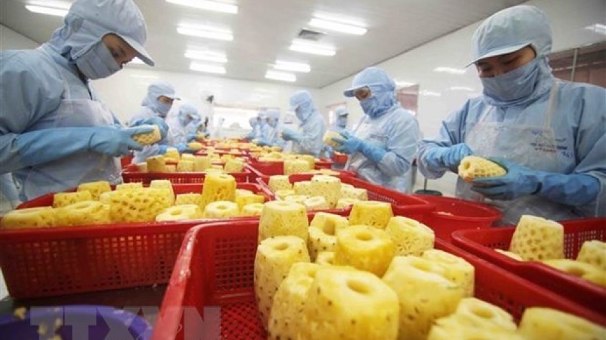 Measures sought to increase export competitiveness in agriculture